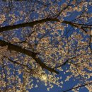 구조라해안로 이미지