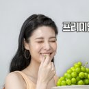 샤인자동차용품