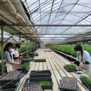 [한국가스공사 활력서포터즈 13기] 최종후기