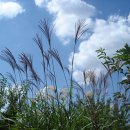 추억의 그림자 이미지