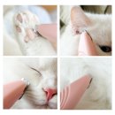 댕댕이와냥이 | 발바닥 털 때문에 미끄러지는 우리 냥이·댕댕이? '미니 바리깡'으로 관절 건강 지켜주세요!