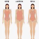 스트레이트체형 코디 특징 쇼핑몰 추천 쇼팜(CHAUFEM) | 켈리드레스, 피비드레스