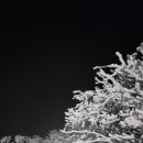 덕유관광주유소 이미지