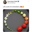 딸기PC방 이미지