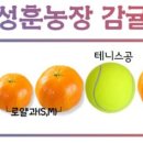 성훈농장 이미지