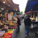 [백석]스페인어 여행회화 & 중남미 문화 | 코스타리카 산호세 한달살기 완벽 가이드: &#39;푸라 비다&#39;의 도시 생활을 만끽하는 법 (2025 최신)
