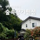 나무향기펜션2 | 숲속향기펜션 법수치계곡 양양독채숙소 아이랑 방문 후기