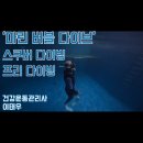창원프리다이빙 PADI 마린버블다이브 후기