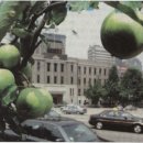 곡성-032 이미지