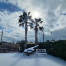 제주놀3320 이미지