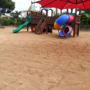 신녕초등학교병설유치원 이미지