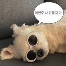 편안약국 이미지