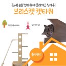 H1890 | 브리스캣 캣타워 원목 CO-S 형 캣타워 후기 클라이밍보드가 있는 캣타워