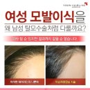 라인헤어 이미지