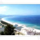 고래불 해수욕장 이미지