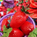 영아오감놀이＜트리플베리＞🍓 이미지