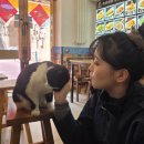 신흥프린팅 | 중국 대련 여행 (3) | 루왕자이, 루이싱커피, 공항 (+쇼핑리스트)