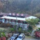 로이농장2 네이버블로그