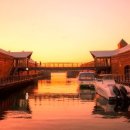 스테이자유 이미지