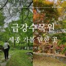충청남도 산림박물관 | [세종/금남면]가볼 만한 곳 금강수목원,충남산림박물관(봄과 가을의 모습)