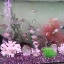 굿모닝유치원 이미지