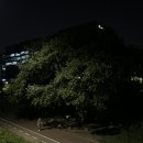 사평대로55길 139 이미지