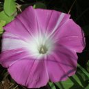 봄의마을 청소년문화센터 이미지