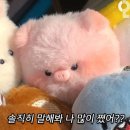우리미야