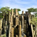 자연생태공원 부천식물원 이미지