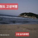 송지호철새관망타워(외부) 이미지