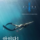 다이브 자이언트 제주