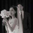 스튜디오'레브'(REVE)