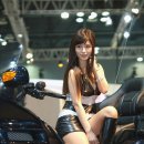 송지나 카카오 검색결과