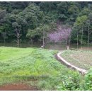 세심자연휴양림 이미지