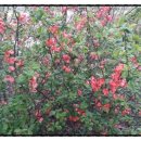 다산실업 이미지