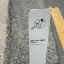 버드바이버드 - 전주시 완산구 홍산1길 7 | [전주/한옥마을] 전주 버드바이버드 한옥마을 | 느좋카페 | 마당카페 | 전주카페