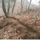 동쪽으로 이미지