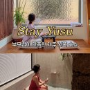 스테이유수