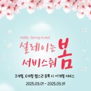 창원광장 앞 중앙대로 이미지