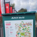 홍천냉동 | 홍천 관광명소 [알파카월드] 방문 솔직 후기!!(f.명이핫도그)