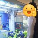 주식회사 퍼니랜드 이미지