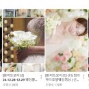 화이트 모티브 본식 DVD, 스냅 계약 후기