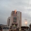 진도개사랑 이미지