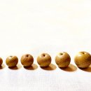 생수건강원 이미지