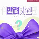 예스가전