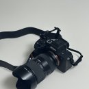 대구종합유통단지 전자관 | [소니 대구전자관점] A7M4 카메라 + 탐론 28-75, 온누리로 저렴하게 구입