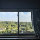 수줍은 언니네 이미지