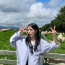 용신목장 네이버블로그
