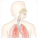 강남푸른숲한방병원 이미지