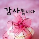 대성카렌다